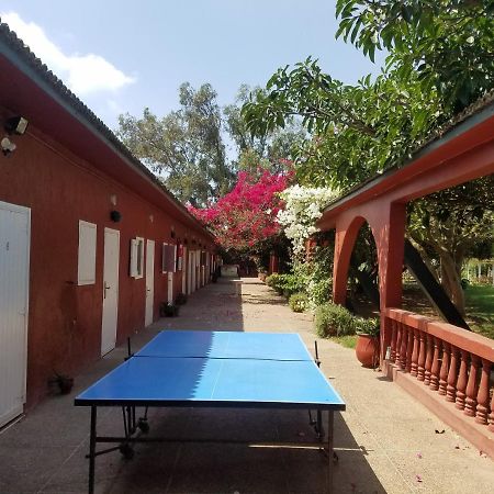 Ferme Hippique Chtouka Bed & Breakfast Dar Said Ben Hajj ภายนอก รูปภาพ