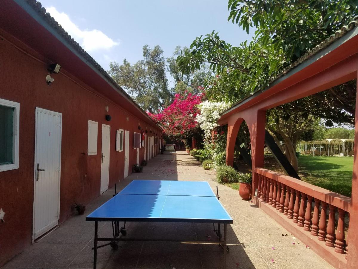 Ferme Hippique Chtouka Bed & Breakfast Dar Said Ben Hajj ภายนอก รูปภาพ