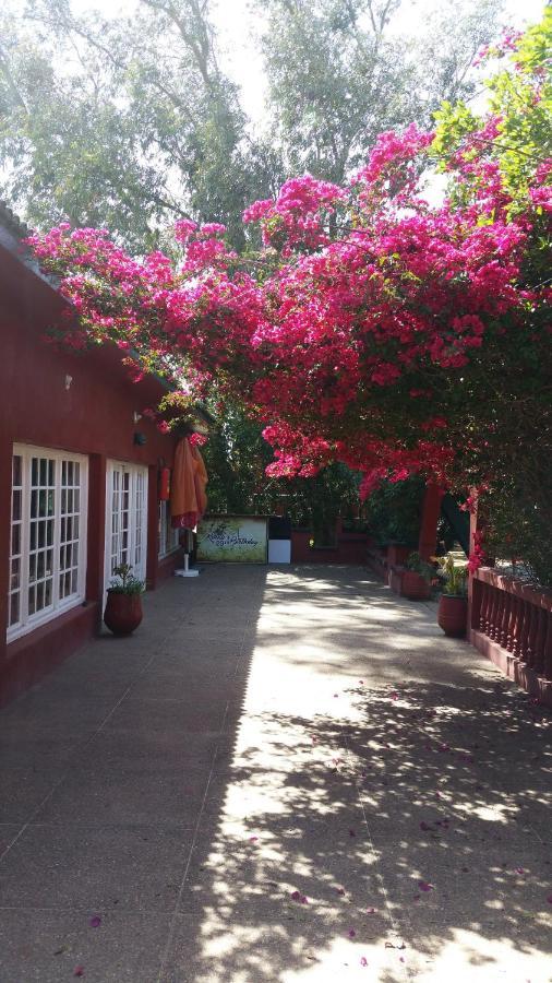 Ferme Hippique Chtouka Bed & Breakfast Dar Said Ben Hajj ภายนอก รูปภาพ